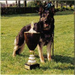 Sieger 7-Ländertwerttkampf 1999 in Preungesheim